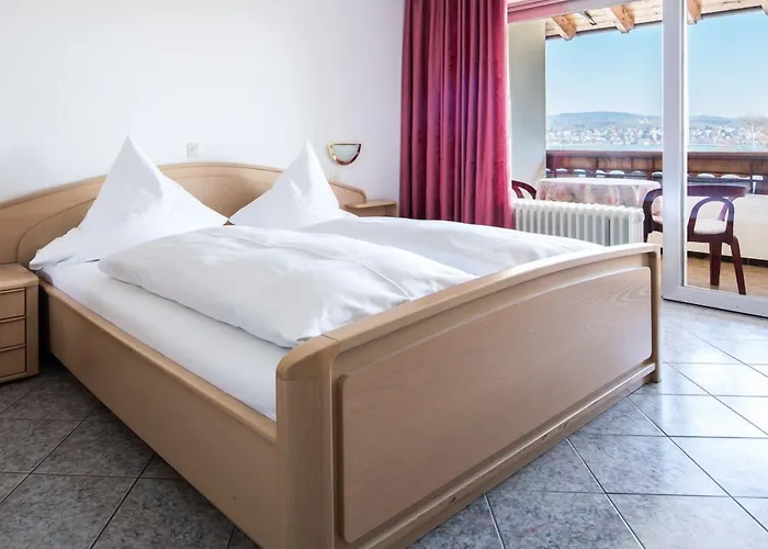 ホテル Bodensee 2*